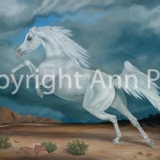 El Marees copyright-1