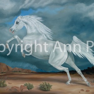 El Marees copyright-1