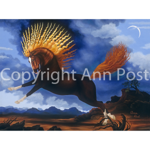 copyright-Sun